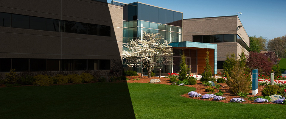 Lithia Landscapers