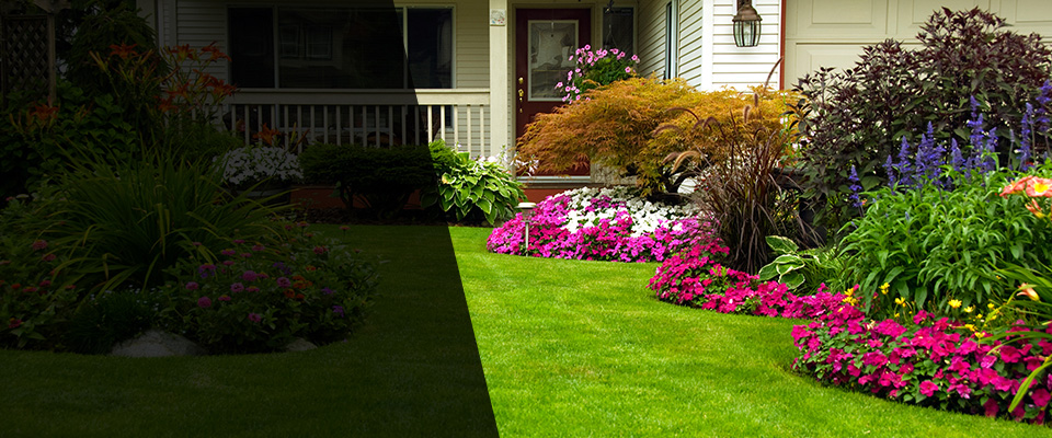 Lithia Landscapers
