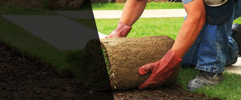 Lithia Landscapers